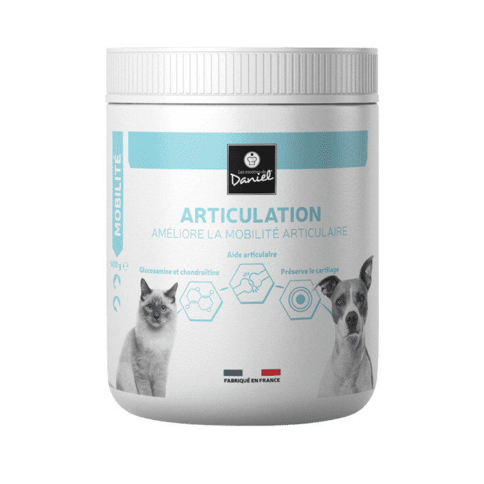 ARTICULATION - CHIENS  et CHATS