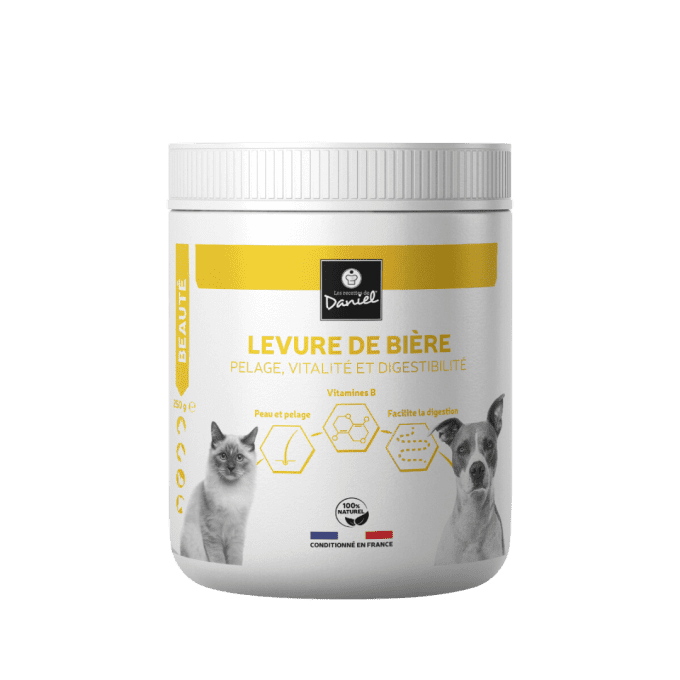 LEVURE DE BIERE