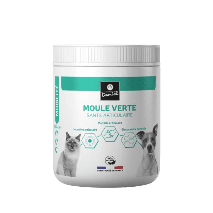MOULE VERTE