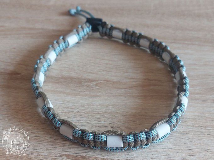 CHIENS _ COLLIER ANTI TIQUE & PUCE _ A adopter