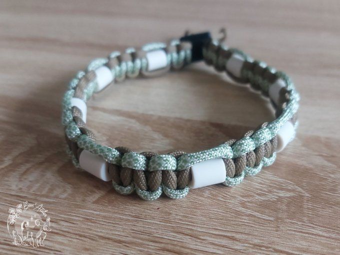 CHIENS _ COLLIER ANTI TIQUE & PUCE _ A adopter