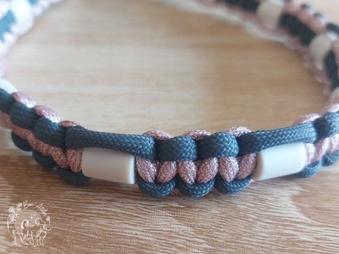 CHIENS _ COLLIER ANTI TIQUE & PUCE _ A adopter