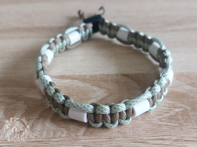 CHIENS _ COLLIER ANTI TIQUE & PUCE _ A adopter