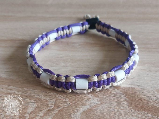 CHIENS _ COLLIER ANTI TIQUE & PUCE _ A adopter