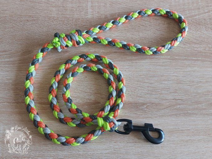 LAISSE TRESSEE "SPARROW" _ 1.30m