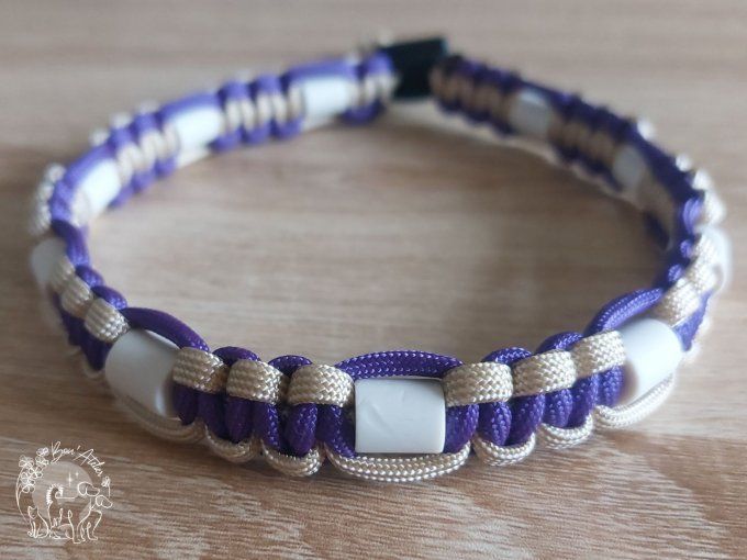 CHIENS _ COLLIER ANTI TIQUE & PUCE _ A adopter
