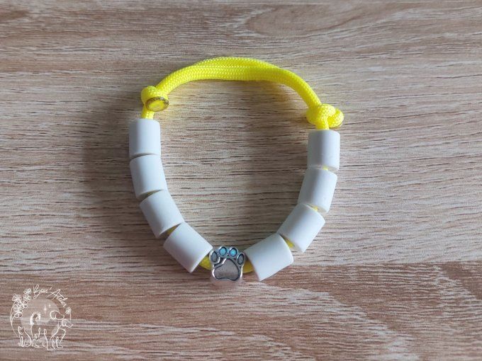 CHIENS _ COLLIER ANTI TIQUE & PUCE _ A adopter
