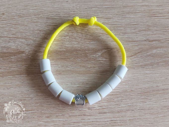 CHIENS _ COLLIER ANTI TIQUE & PUCE _ A adopter