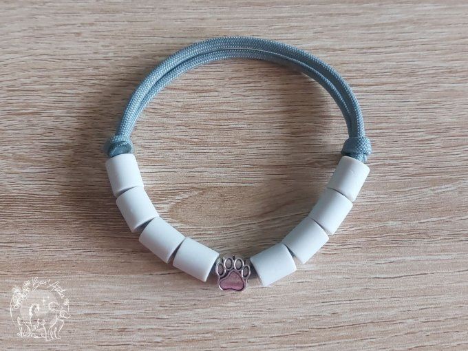 CHIENS _ COLLIER ANTI TIQUE & PUCE _ A adopter