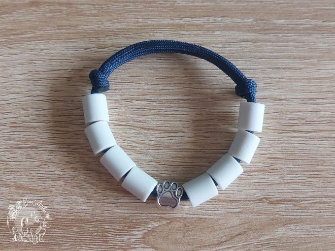 CHIENS _ COLLIER ANTI TIQUE & PUCE _ A adopter - Copie