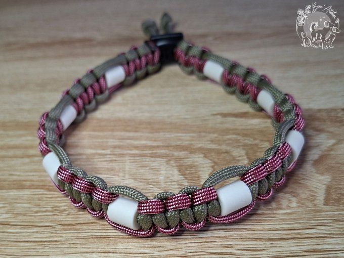 CHIENS _ COLLIER ANTI TIQUE & PUCE _ A adopter