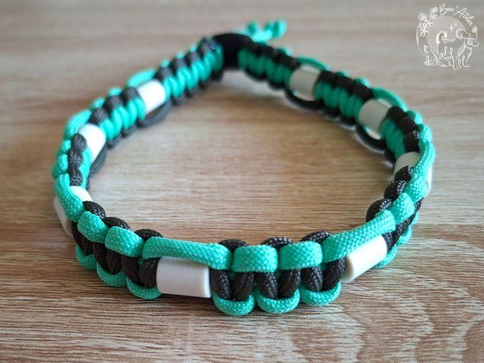 CHIENS _ COLLIER ANTI TIQUE & PUCE _ A adopter