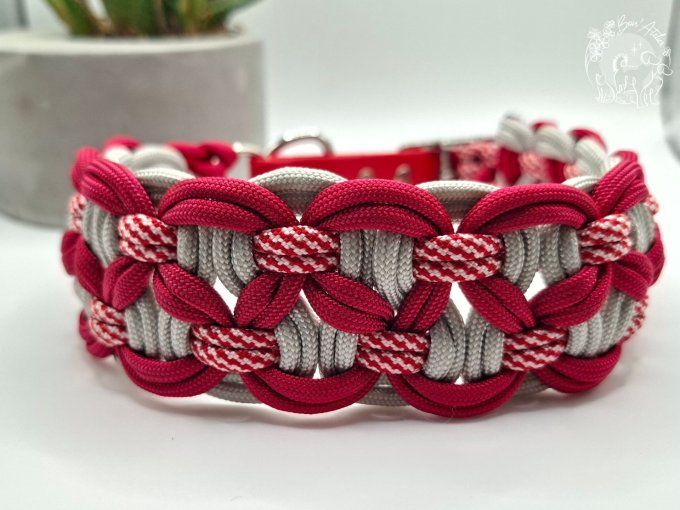 COLLIER REGLABLE "BANDIT" - A adopter