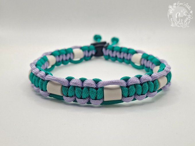 CHIENS _ COLLIER ANTI TIQUE & PUCE _ A adopter