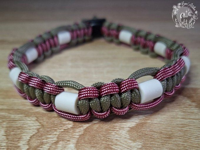 CHIENS _ COLLIER ANTI TIQUE & PUCE _ A adopter