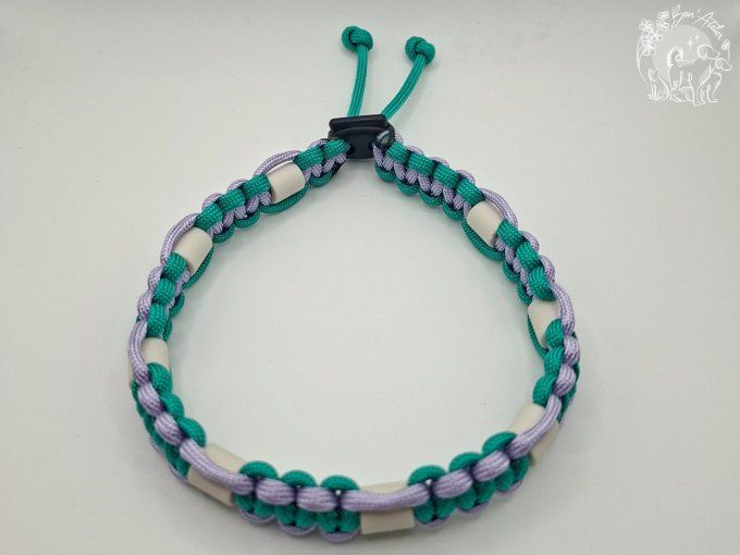 CHIENS _ COLLIER ANTI TIQUE & PUCE _ A adopter