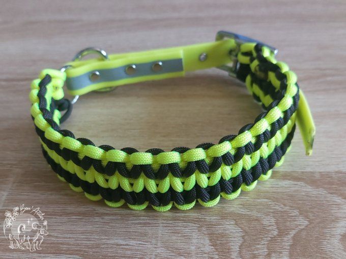 COLLIER REGLABLE "ISNA" - A adopter