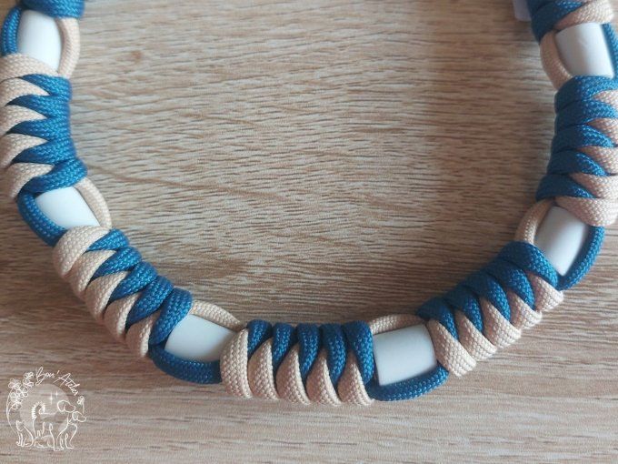 CHIENS _ COLLIER ANTI TIQUE & PUCE _ A adopter