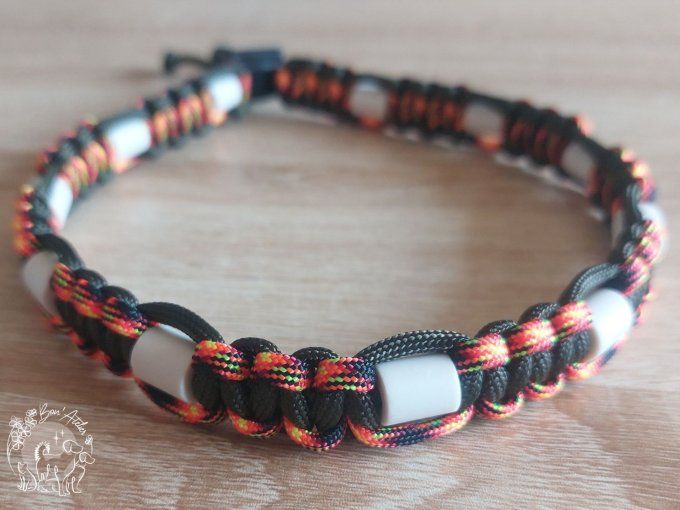 CHIENS _ COLLIER ANTI TIQUE & PUCE _ A adopter