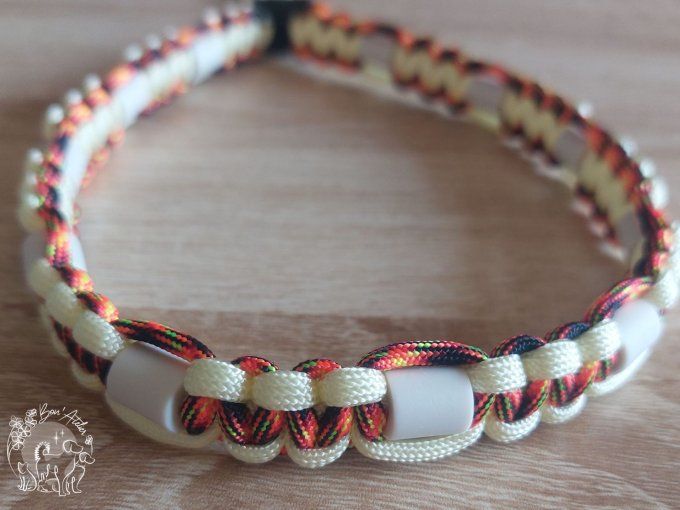 CHIENS _ COLLIER ANTI TIQUE & PUCE _ A adopter