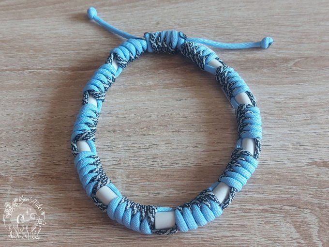 CHIENS _ COLLIER ANTI TIQUE & PUCE _ A adopter