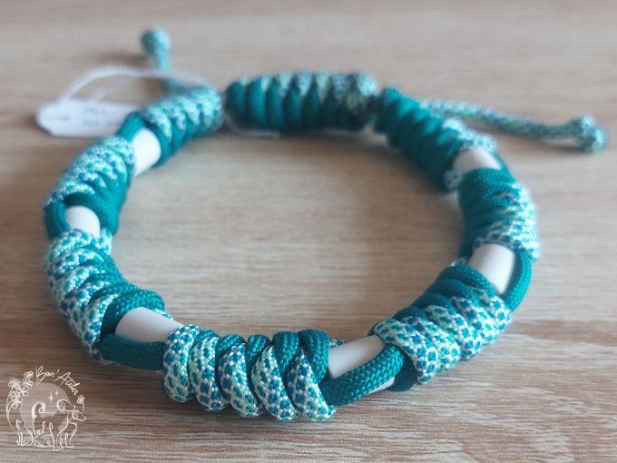 CHIENS _ COLLIER ANTI TIQUE & PUCE _ A adopter