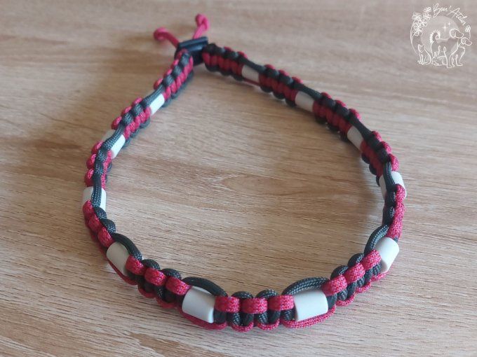 CHIENS _ COLLIER ANTI TIQUE & PUCE _ A adopter