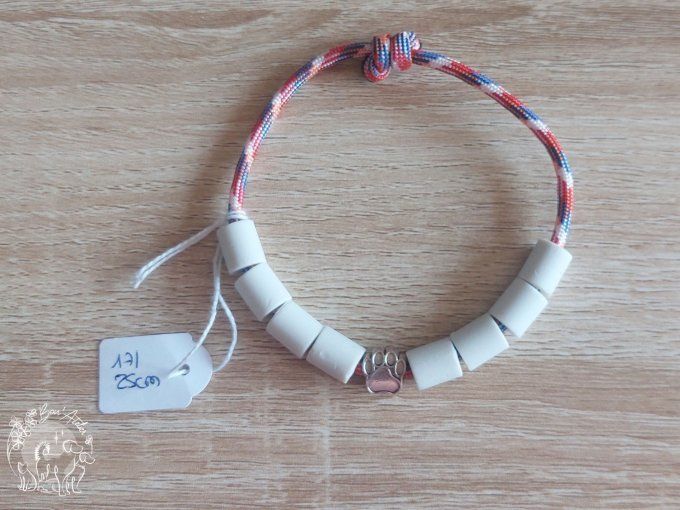 CHIENS _ COLLIER ANTI TIQUE & PUCE _ A adopter