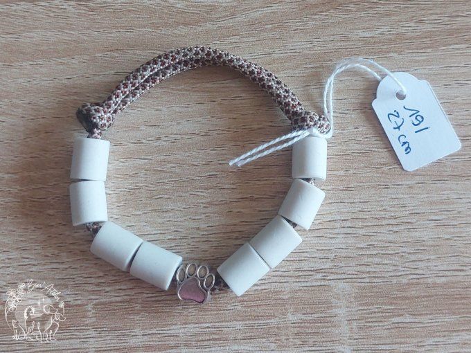 CHIENS _ COLLIER ANTI TIQUE & PUCE _ A adopter