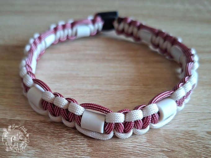 CHIENS _ COLLIER ANTI TIQUE & PUCE _ A adopter