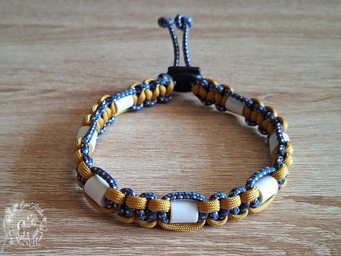 CHIENS _ COLLIER ANTI TIQUE & PUCE _ A adopter - Copie