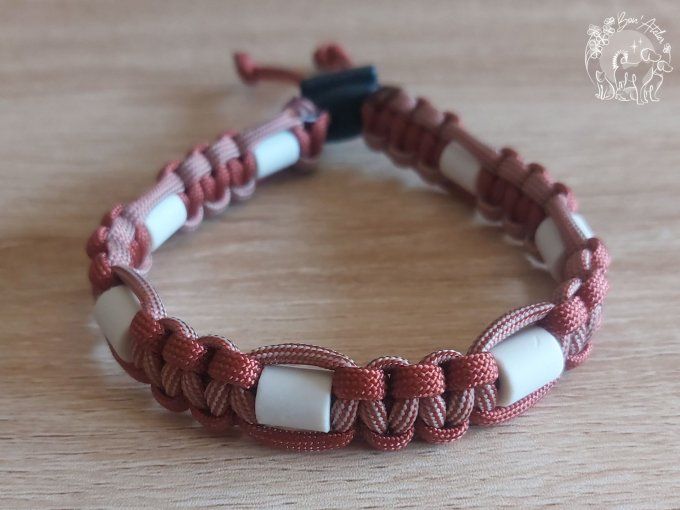 CHIENS _ COLLIER ANTI TIQUE & PUCE _ A adopter