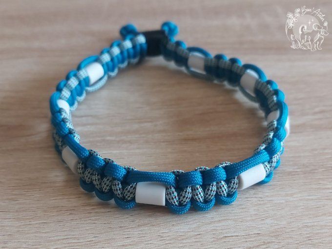 CHIENS _ COLLIER ANTI TIQUE & PUCE _ A adopter