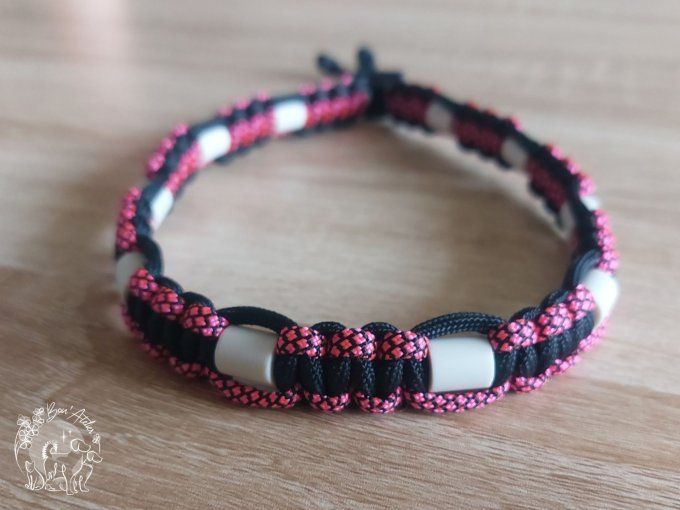 CHIENS _ COLLIER ANTI TIQUE & PUCE _ A adopter