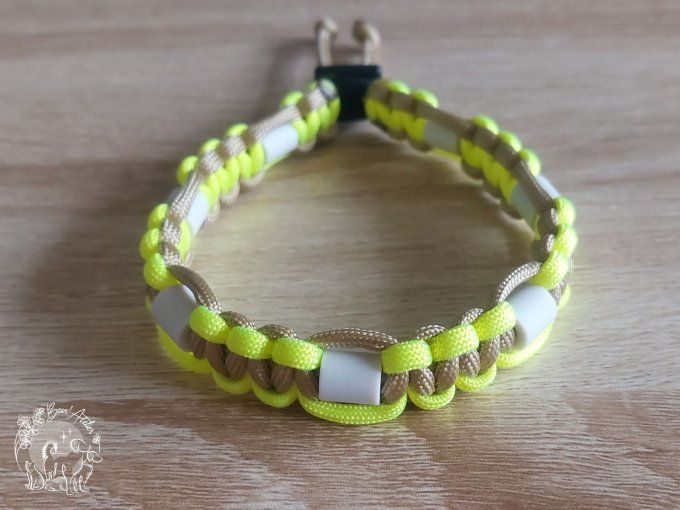 CHIENS _ COLLIER ANTI TIQUE & PUCE _ A adopter