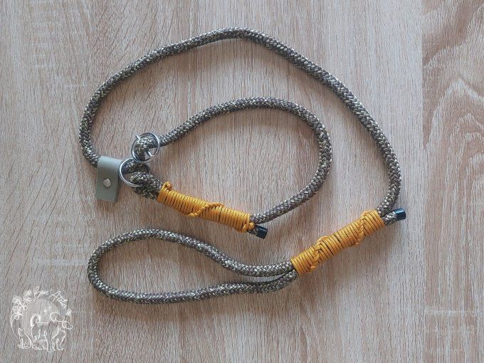 LAISSE LASSO