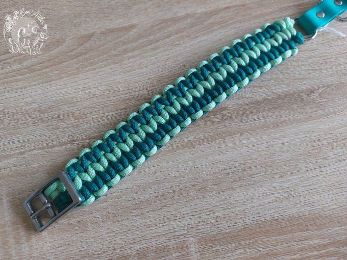 COLLIER REGLABLE "ISNA" - A adopter
