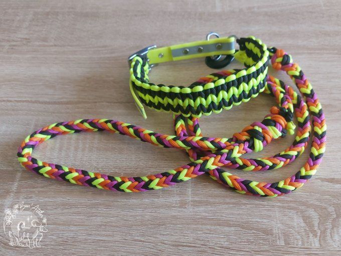 COLLIER REGLABLE "ISNA" - A adopter