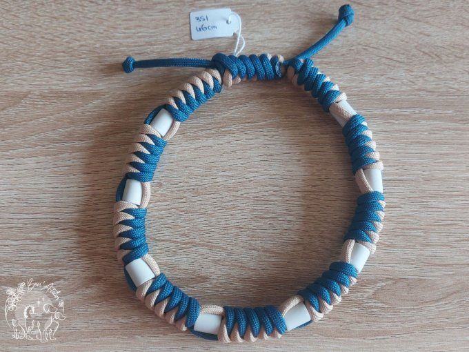 CHIENS _ COLLIER ANTI TIQUE & PUCE _ A adopter