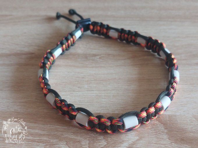 CHIENS _ COLLIER ANTI TIQUE & PUCE _ A adopter