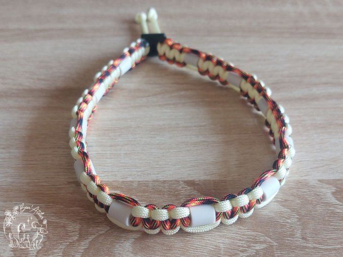 CHIENS _ COLLIER ANTI TIQUE & PUCE _ A adopter