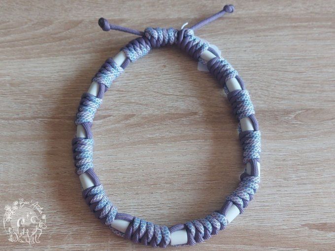 CHIENS _ COLLIER ANTI TIQUE & PUCE _ A adopter