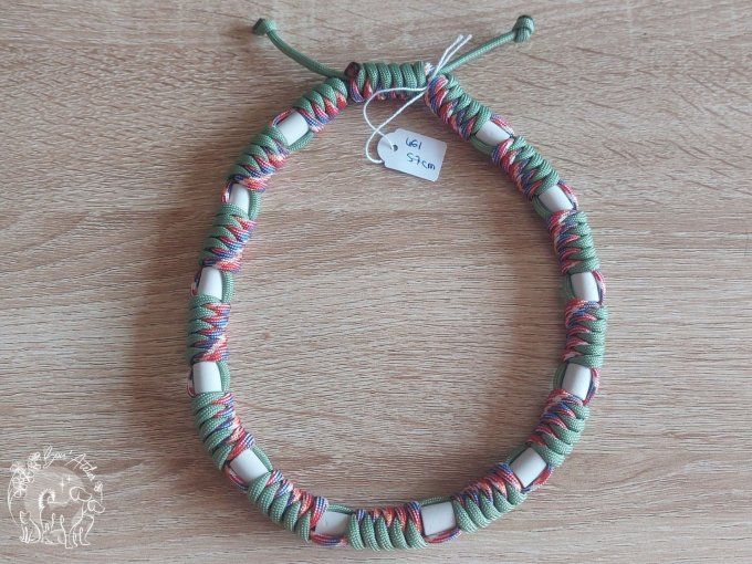 CHIENS _ COLLIER ANTI TIQUE & PUCE _ A adopter