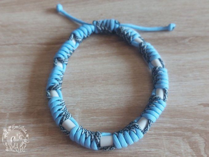 CHIENS _ COLLIER ANTI TIQUE & PUCE _ A adopter