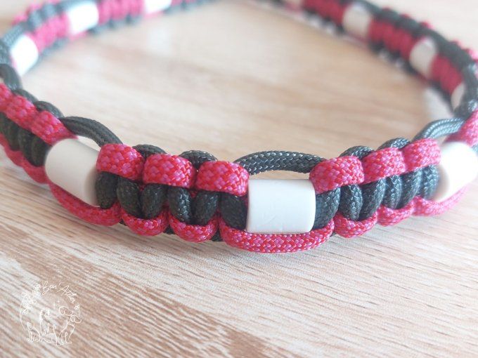 CHIENS _ COLLIER ANTI TIQUE & PUCE _ A adopter