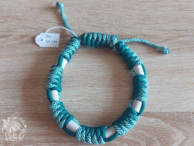 CHIENS _ COLLIER ANTI TIQUE & PUCE _ A adopter