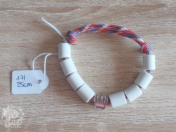 CHIENS _ COLLIER ANTI TIQUE & PUCE _ A adopter