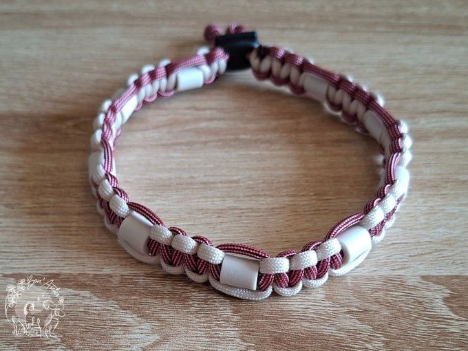 CHIENS _ COLLIER ANTI TIQUE & PUCE _ A adopter