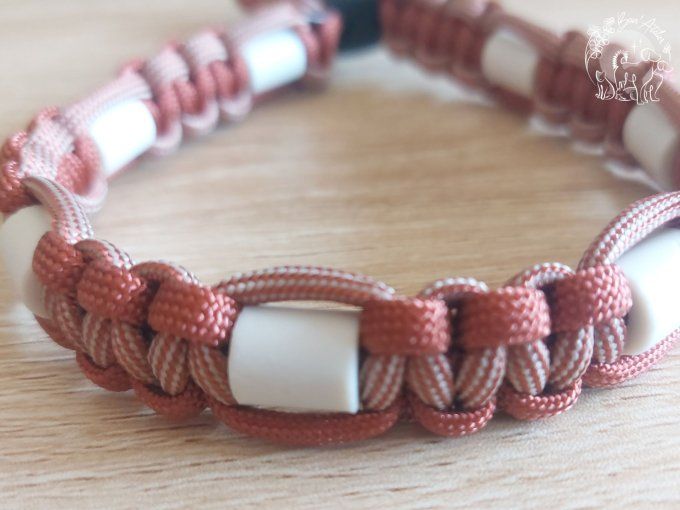 CHIENS _ COLLIER ANTI TIQUE & PUCE _ A adopter