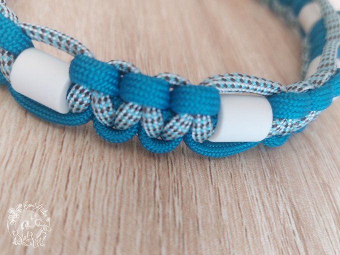 CHIENS _ COLLIER ANTI TIQUE & PUCE _ A adopter